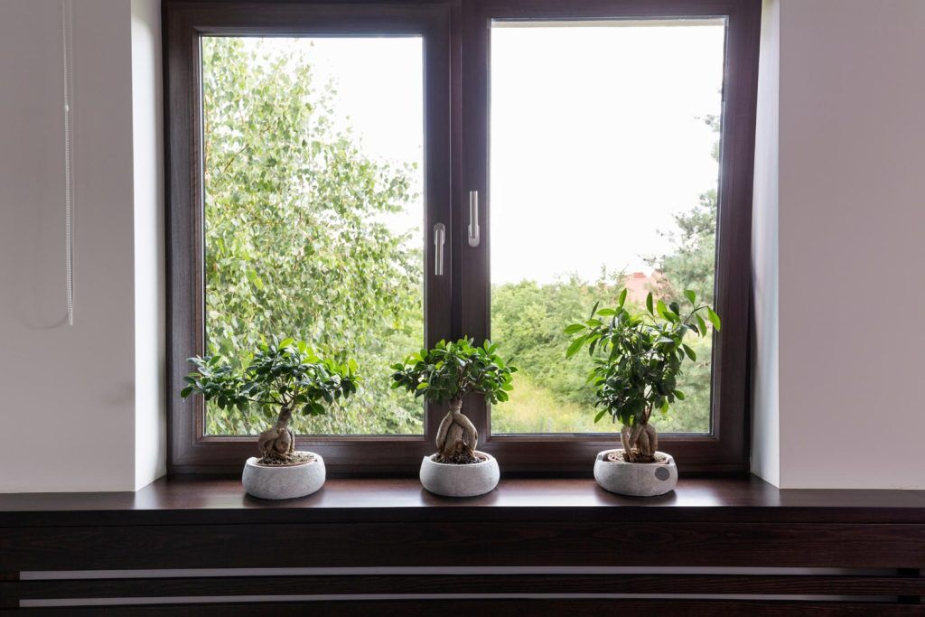 Residential window cleaning in Lone Tree, CO